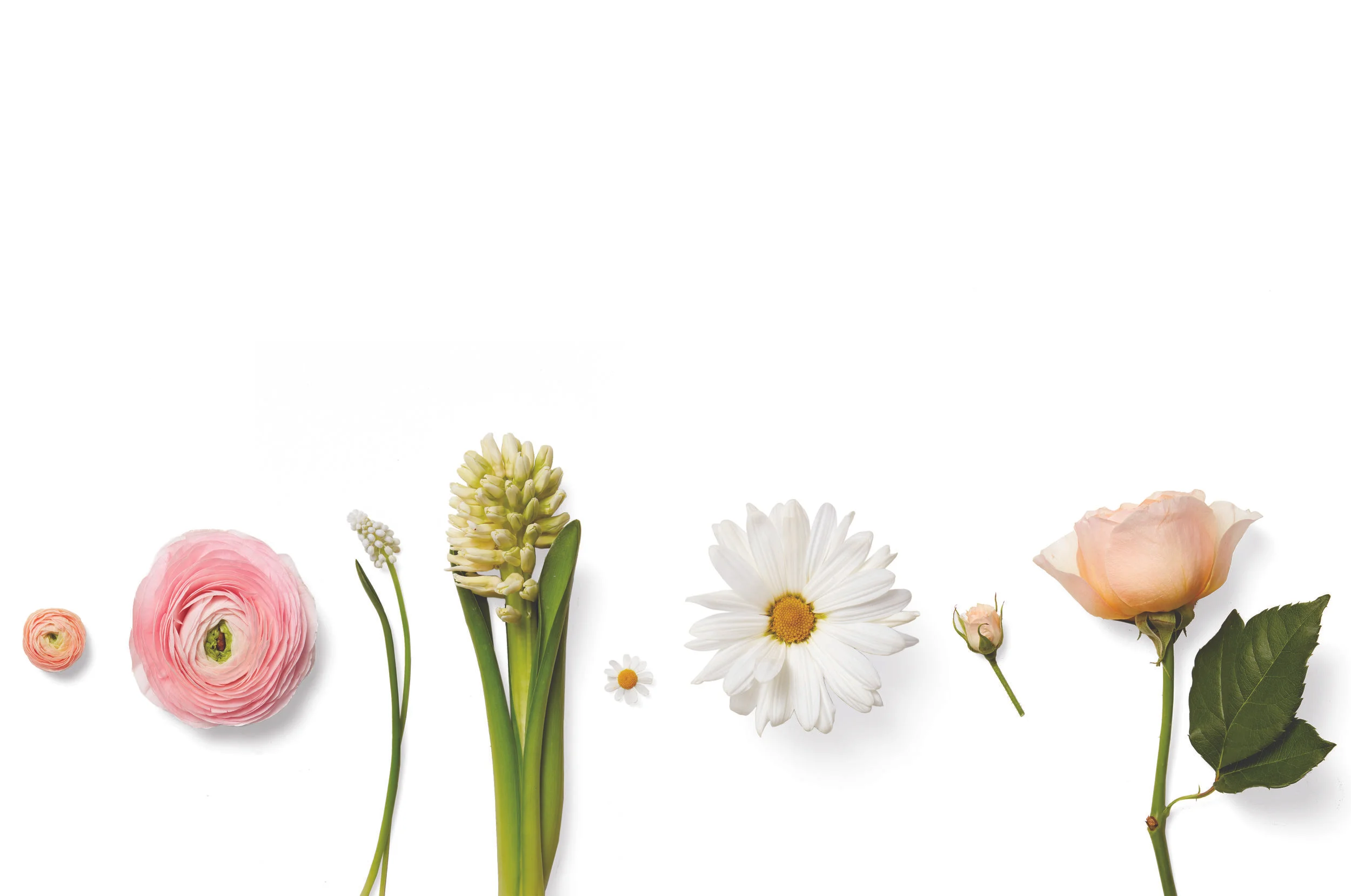 flower-silo-comp.-2psd.jpg