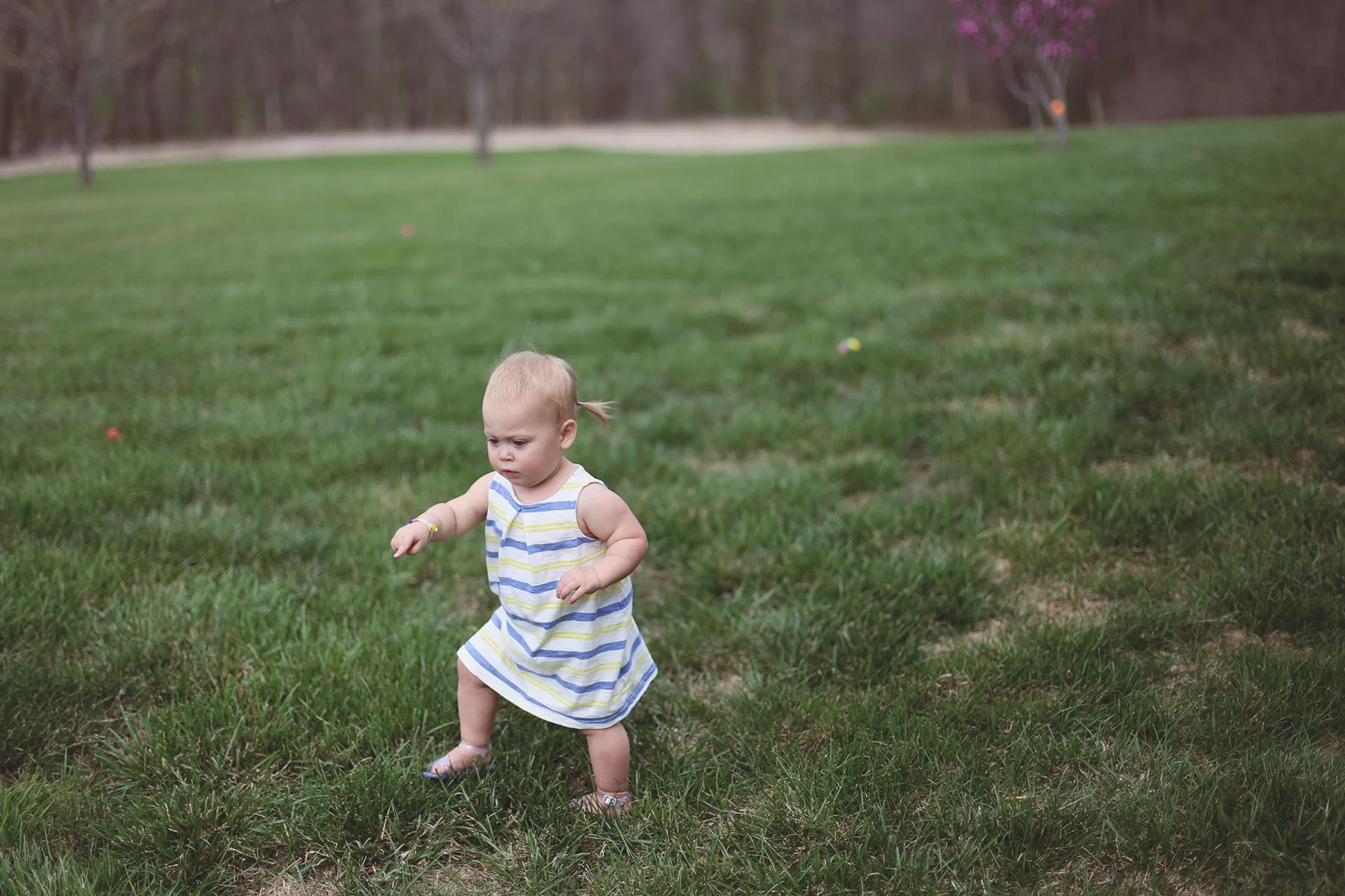 IMG_1921 copy.jpg