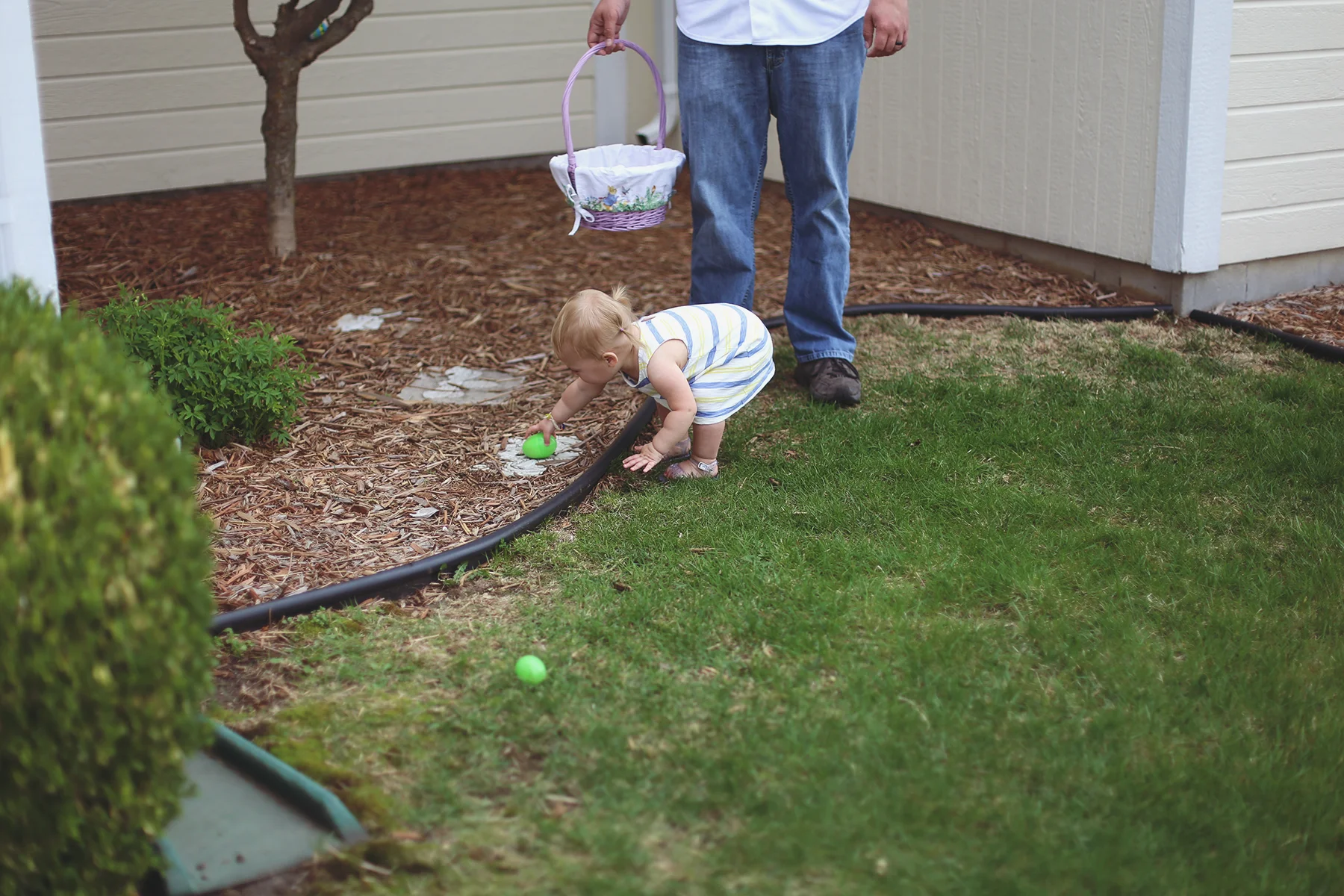 IMG_1950 copy.jpg