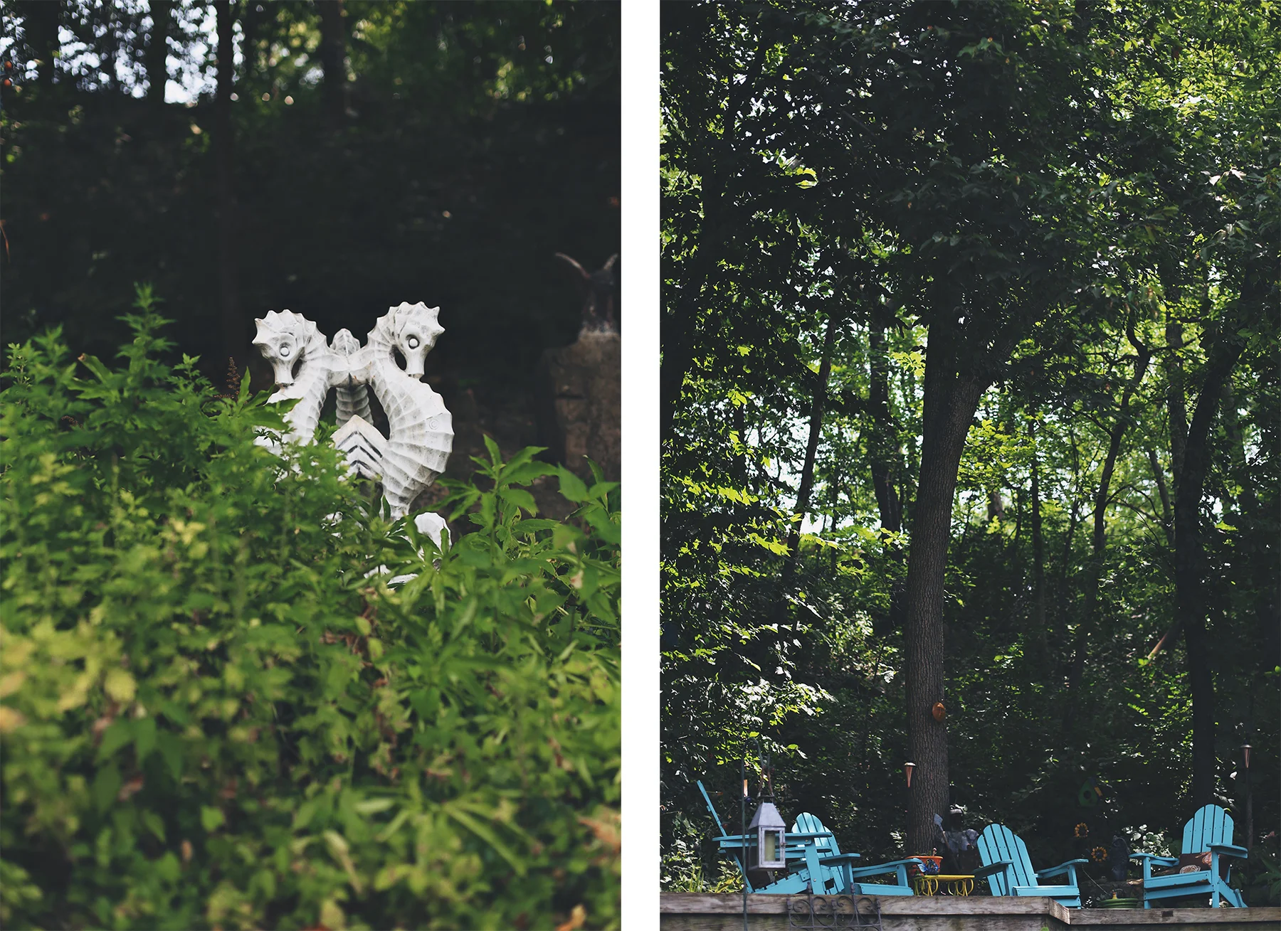 backyarddippy2.jpg