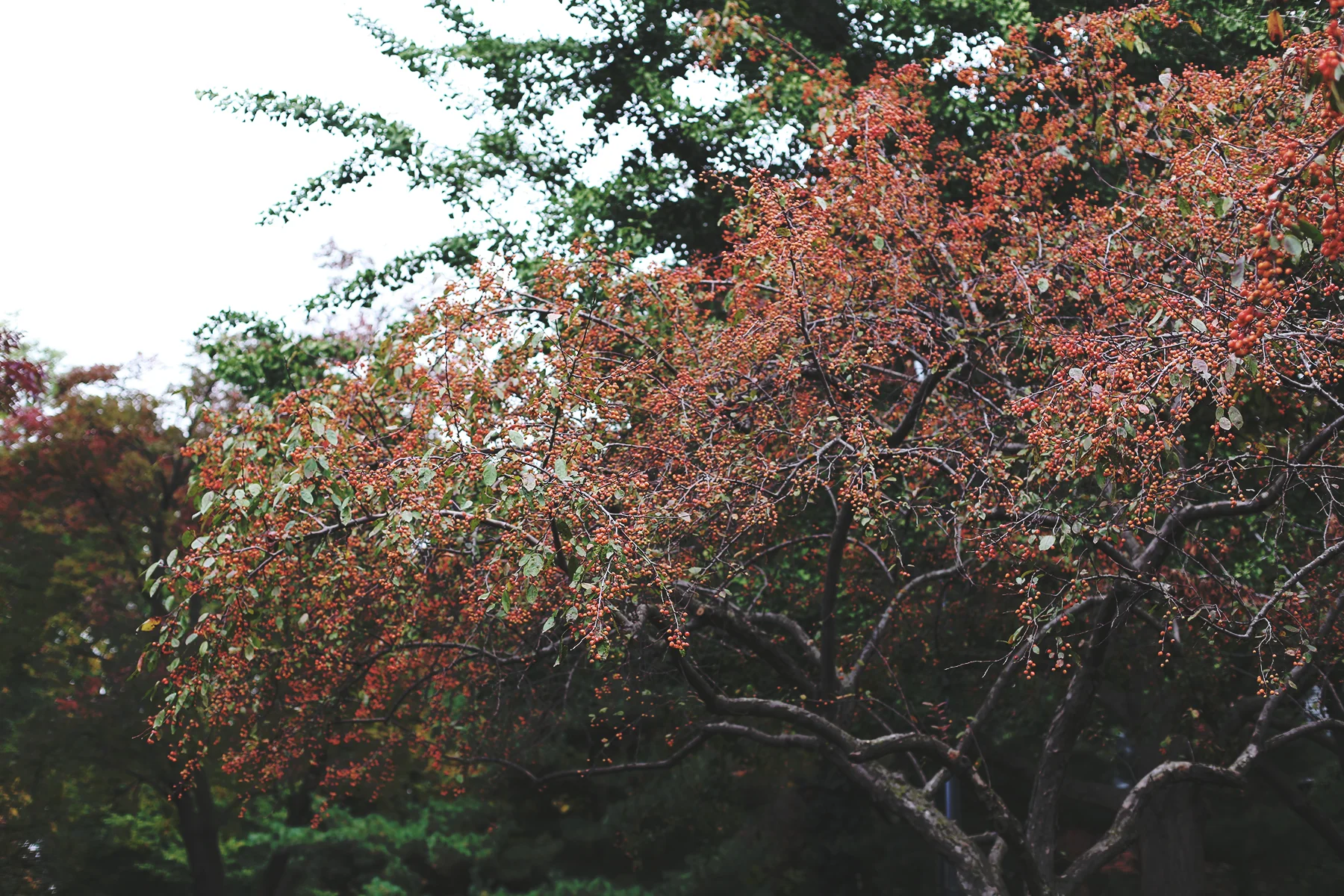IMG_3302 copy.jpg