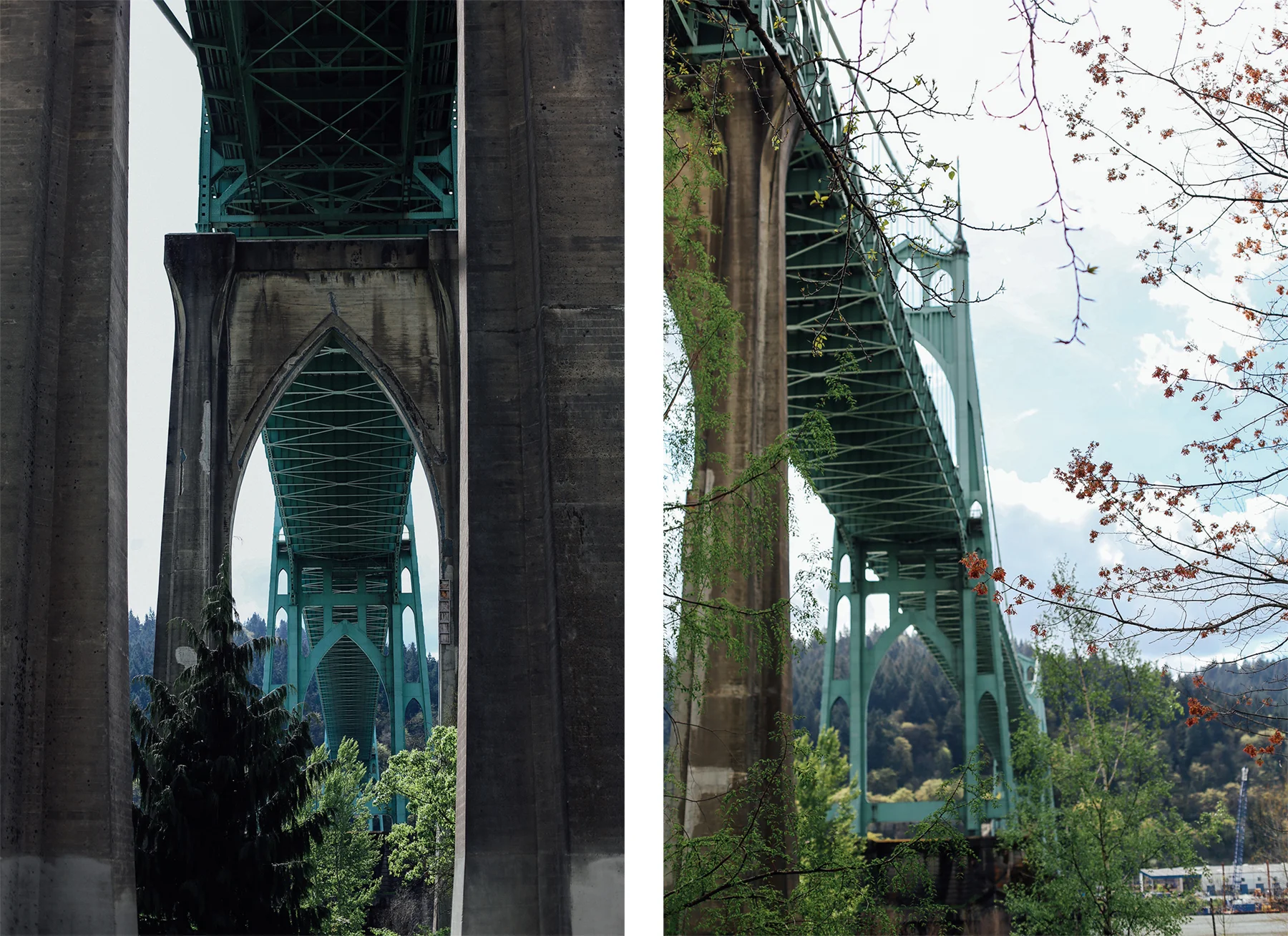 portlanddippy6.jpg