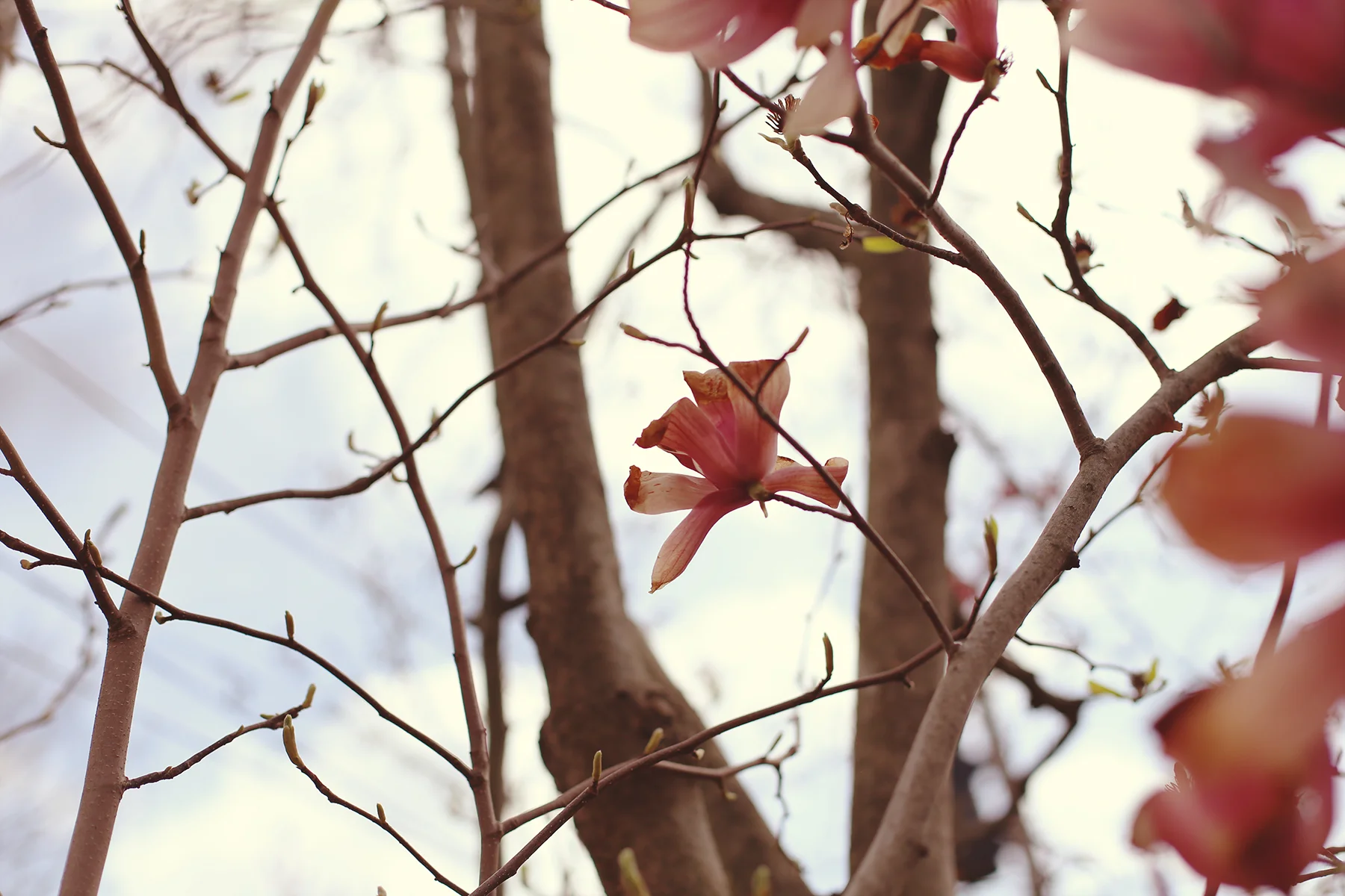 IMG_6977 copy.jpg