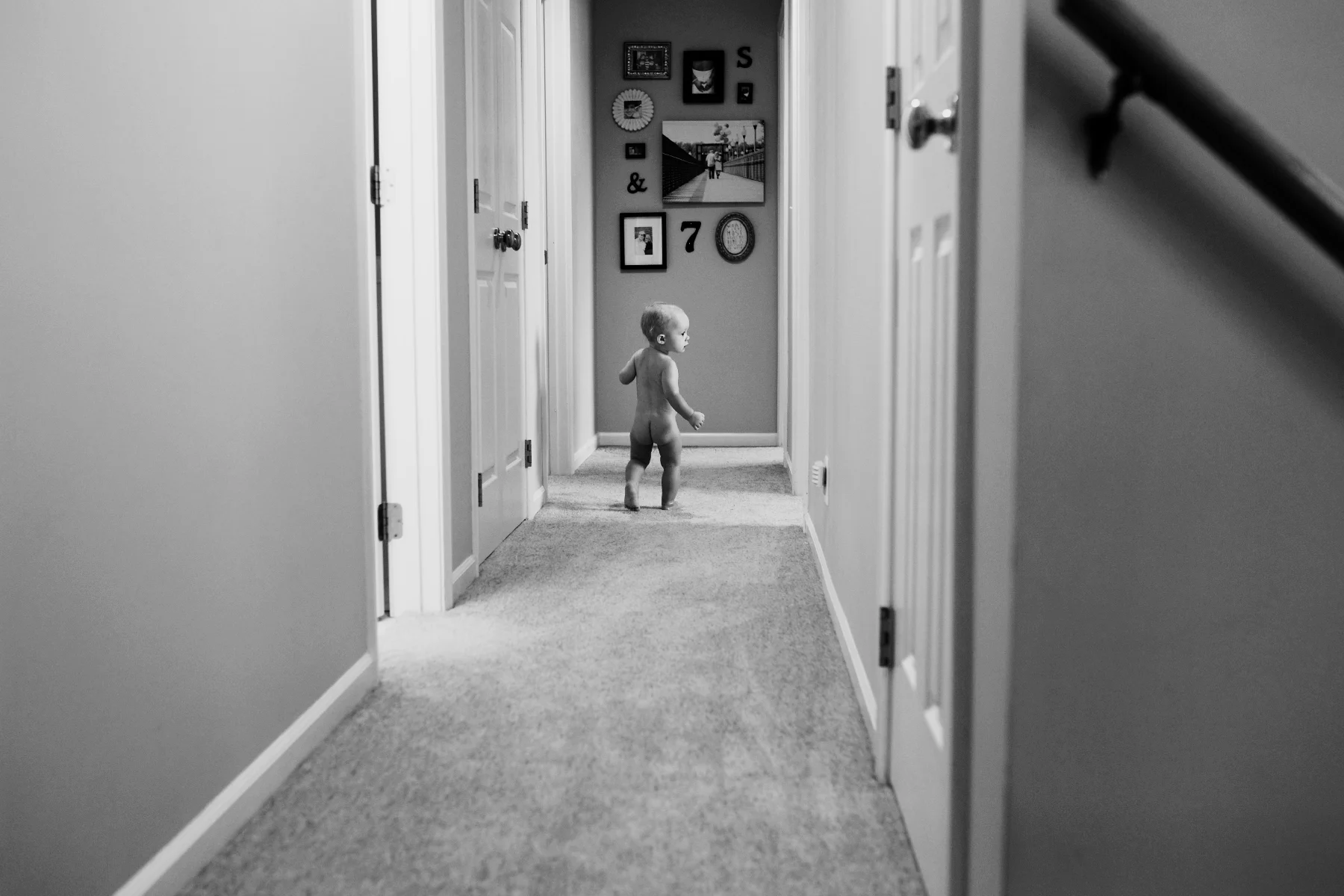 IMG_8338 copy2.jpg