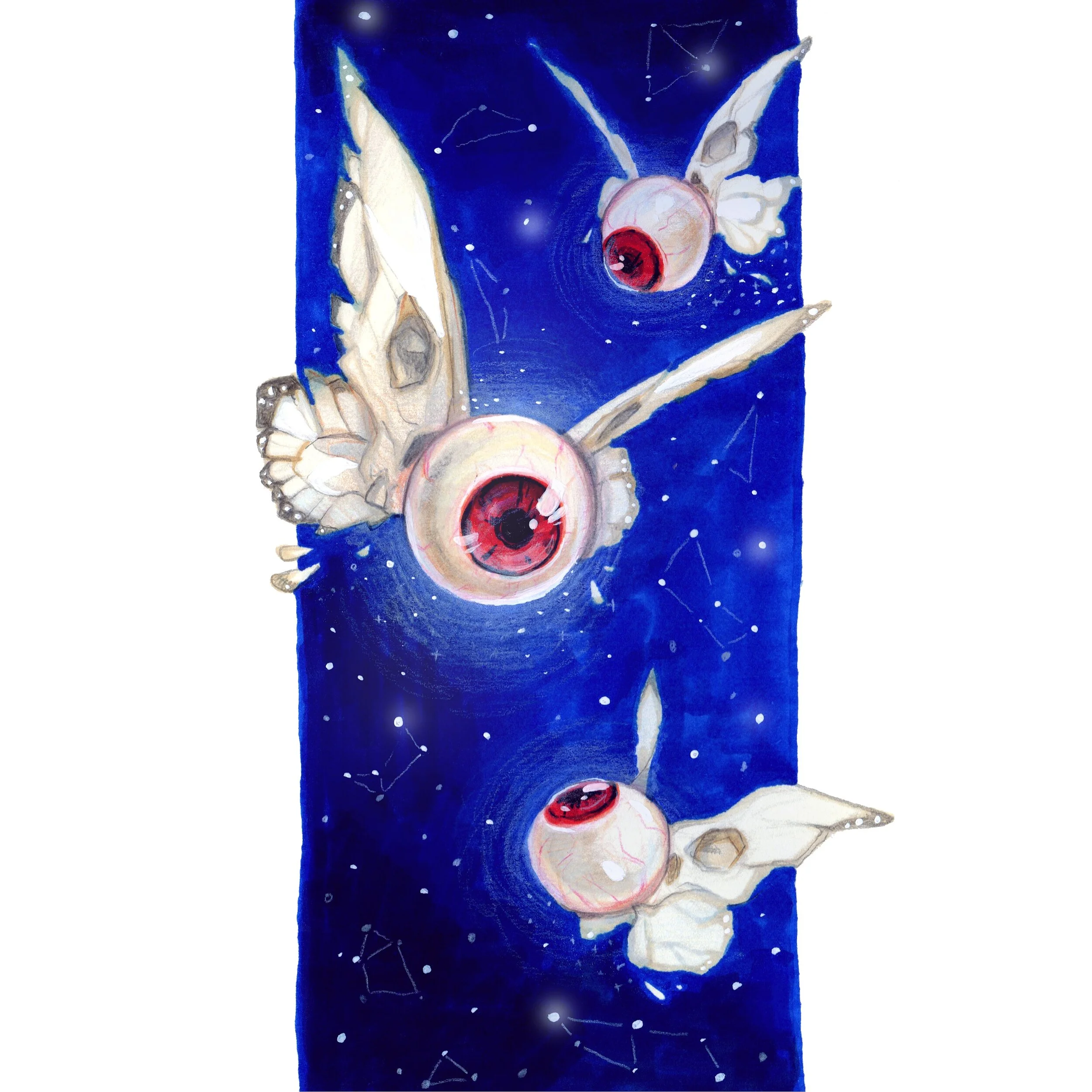 Flying Eyes