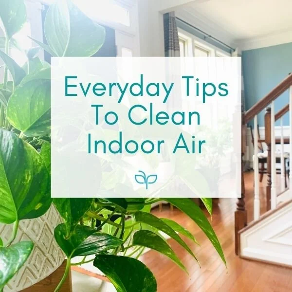 Everyday Tips To Clean Indoor Air