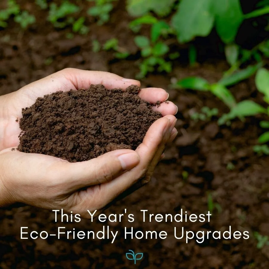 This Year's Trendiest Eco-Friendly Home Upgrades