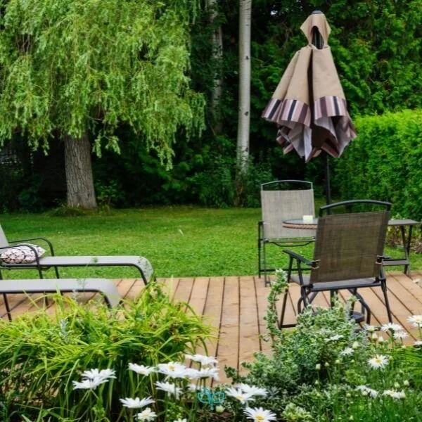 Transform Your Backyard In 3 Simple Steps