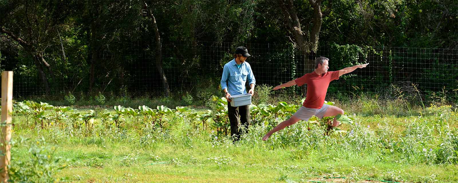 Farm Stretch