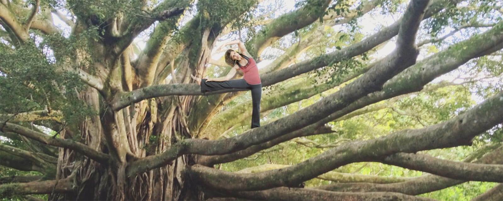 Tree Stretch