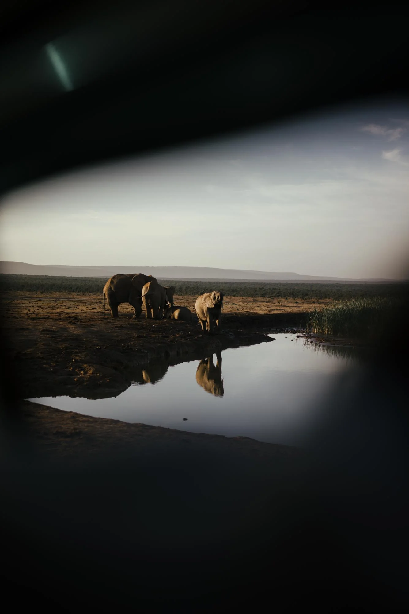 20180213_africa_0075.jpg