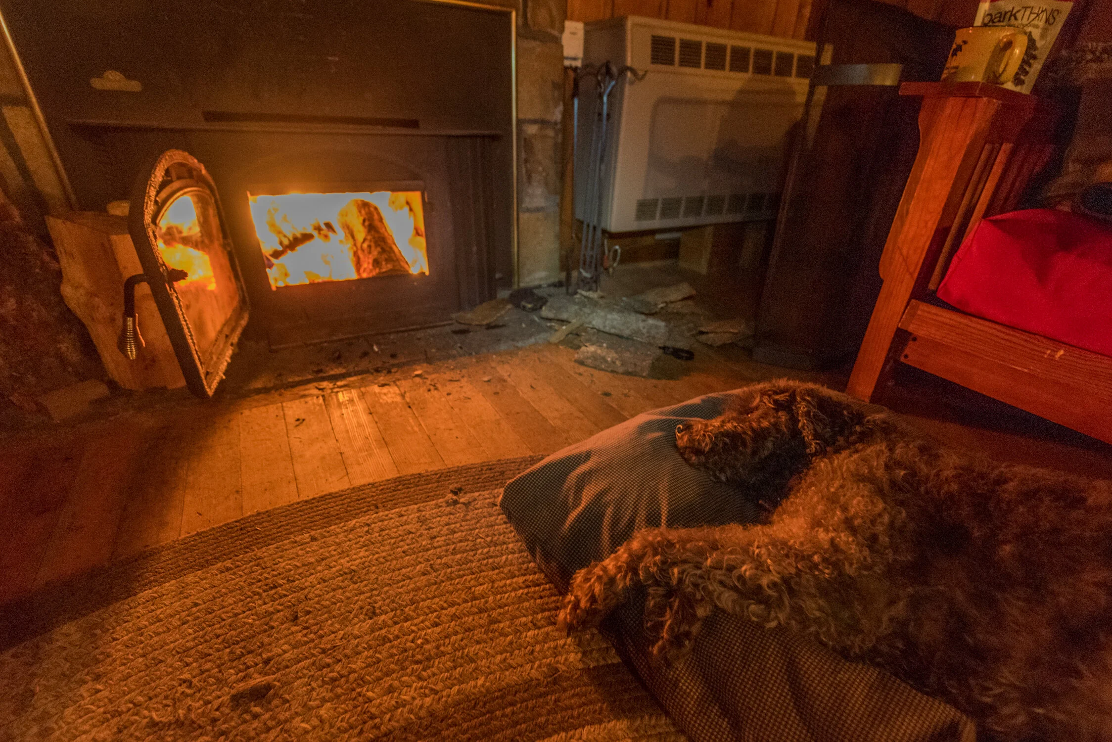 DSC_9259.jpg