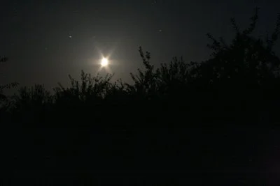 Starry Night