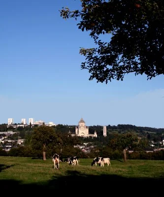 Bucolic basilica