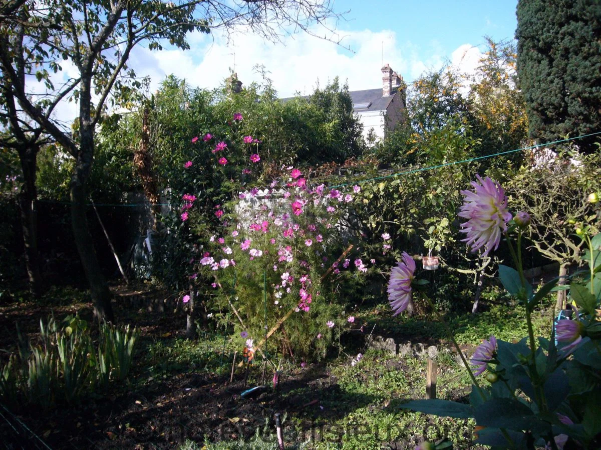 The lower garden, 7 Rue Labbey