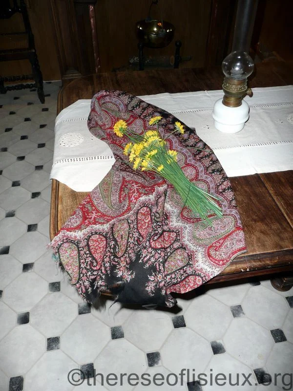 Zelie Martin's shawl