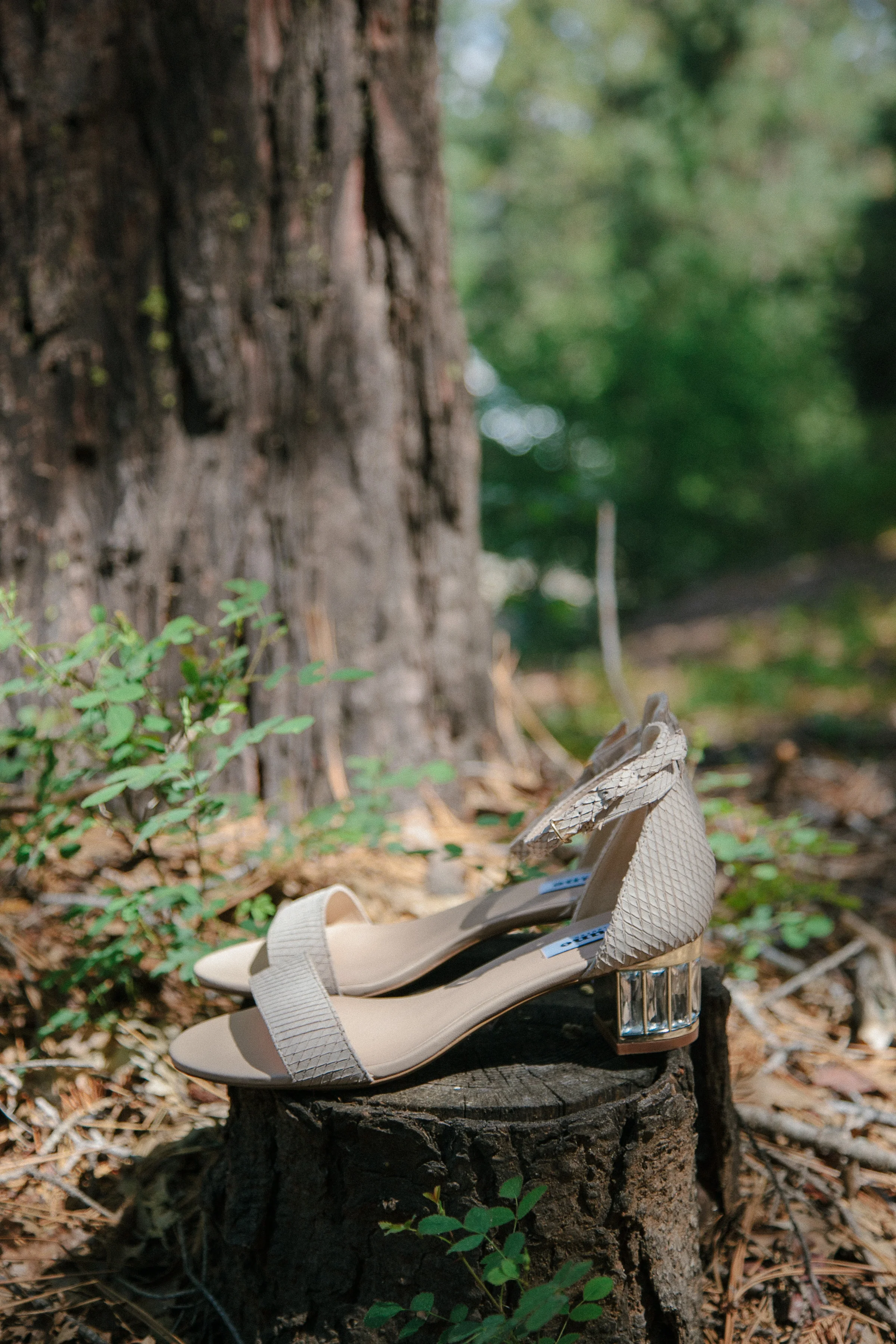 Yosemite Wedding Photographer