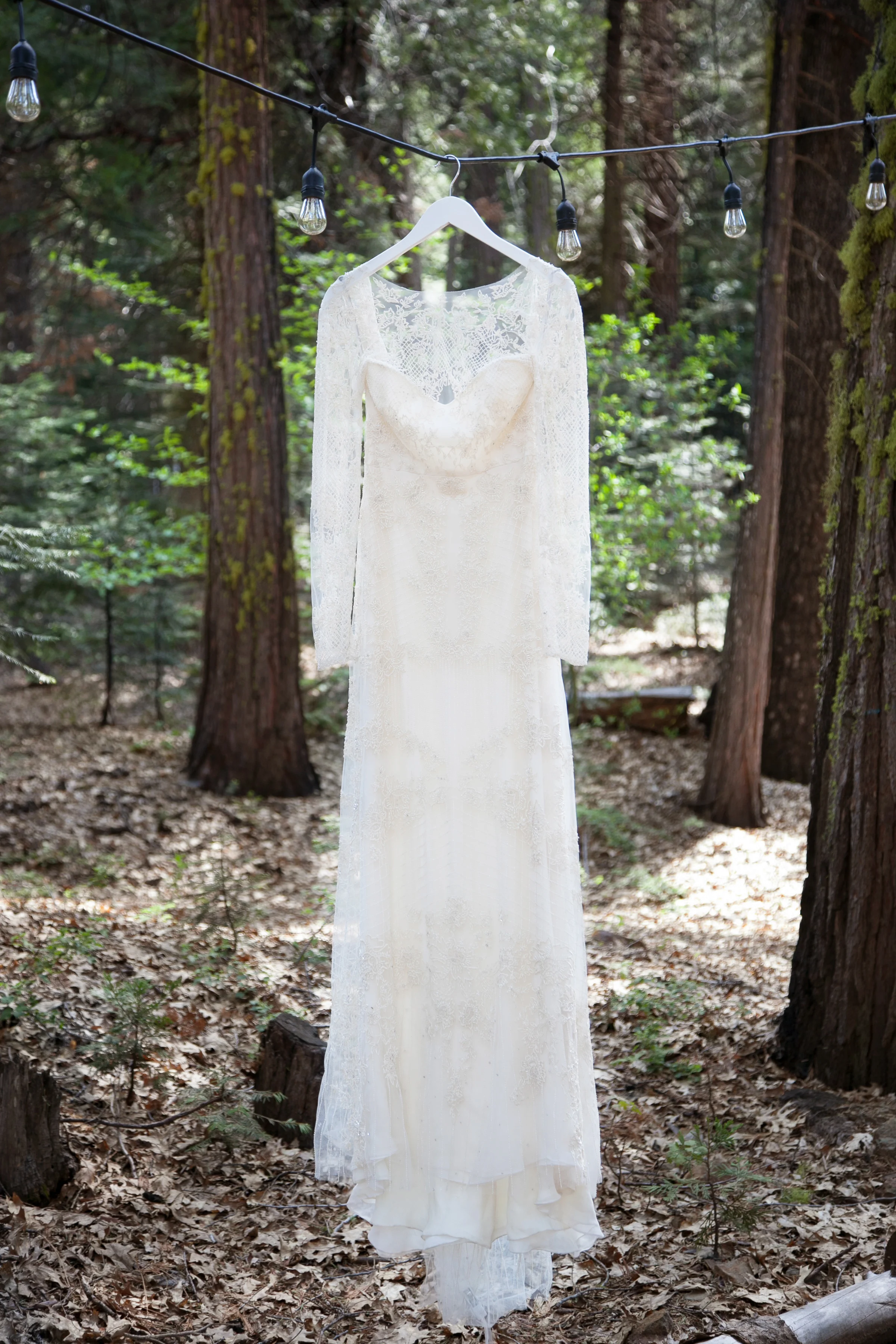 Yosemite Wedding Photographer