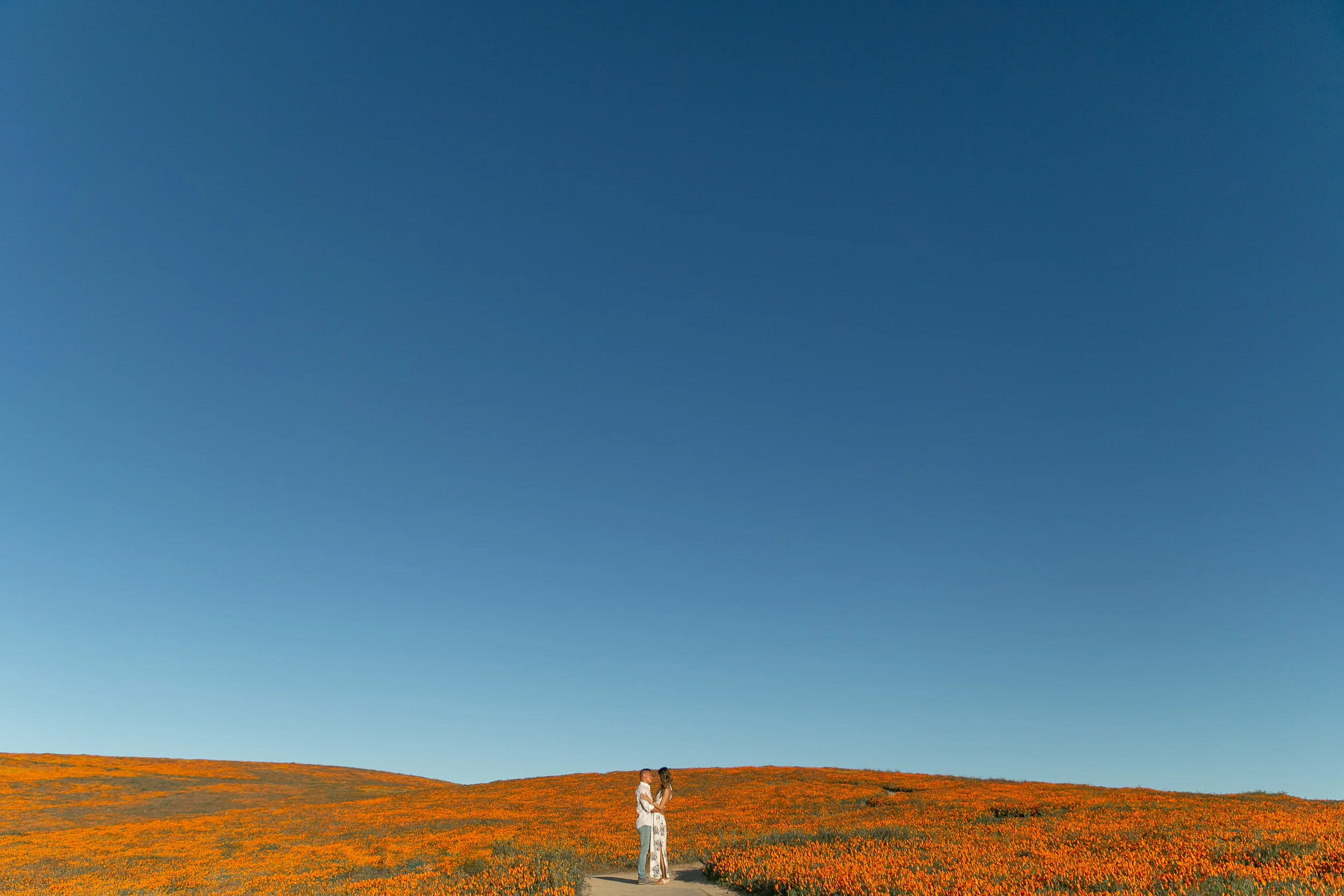 LarkLavender_AntelopeValleyPoppyFields-0001.jpg