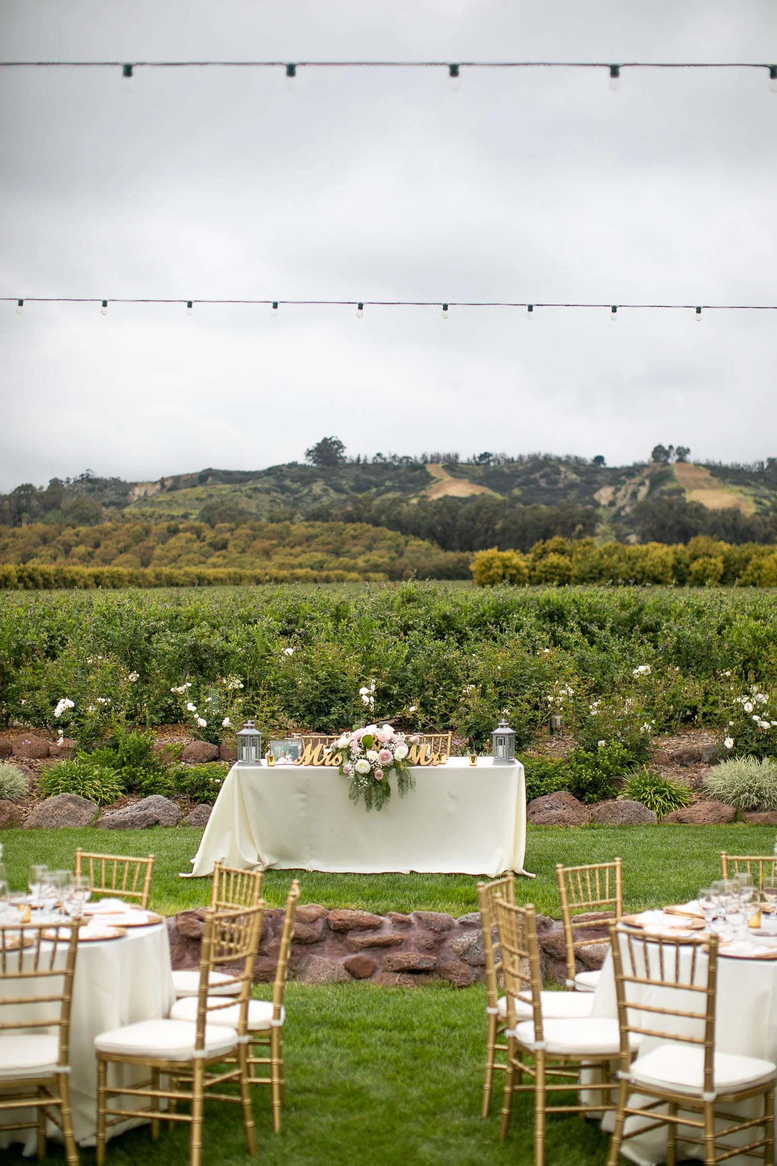 Lark_Lavender_Gerry_Ranch_014.jpg