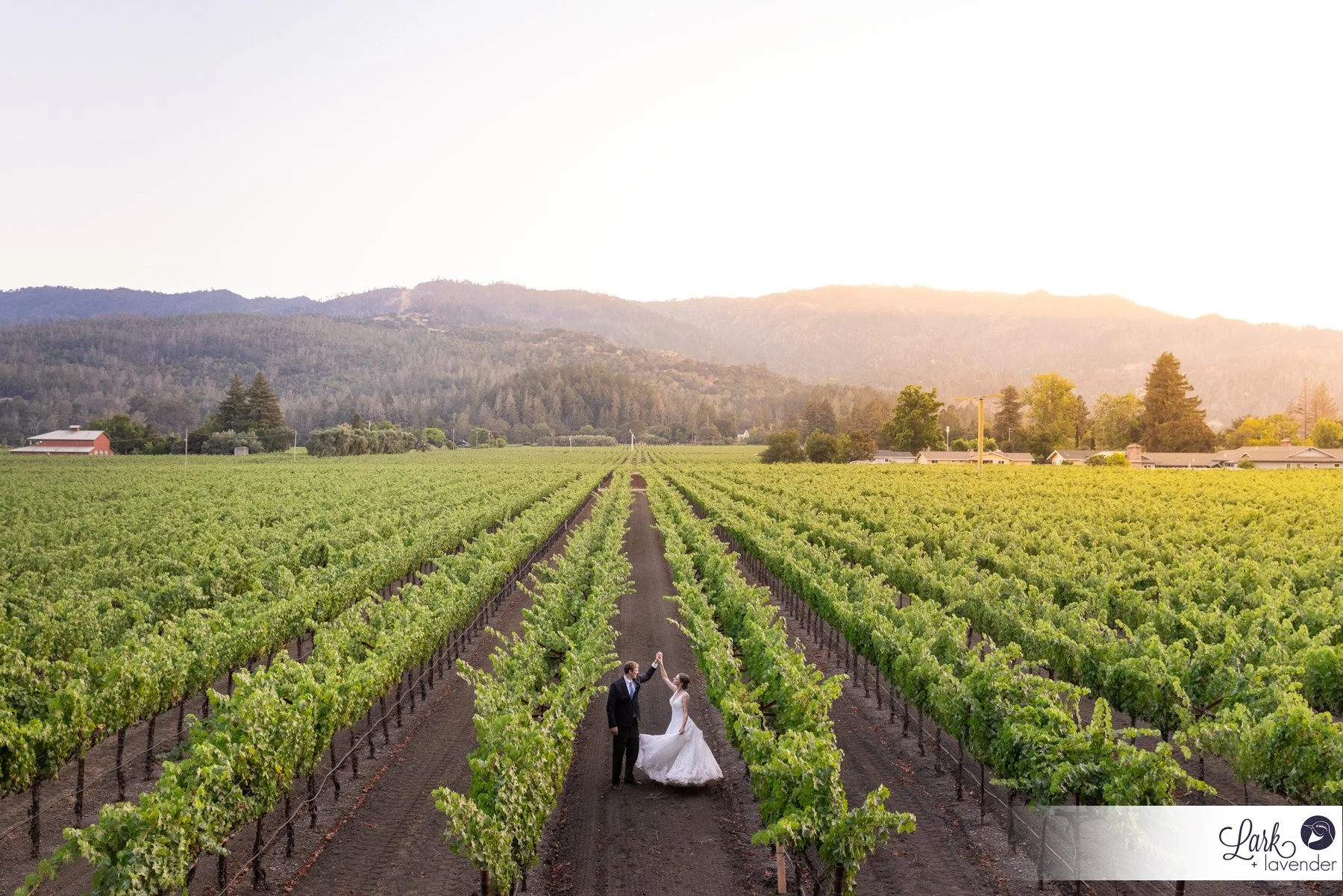 Evergreen Harvest Inn Napa Wedding in St. Helena, CA