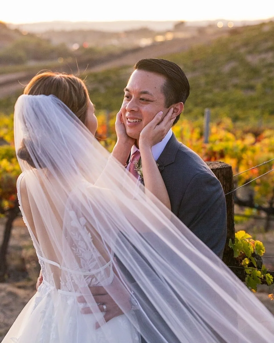 How love in the vineyard looks through my lens. ✨

The most gorgeous vineyard in Temecula: @belvinowinery.wedgewood 

#TemeculaWeddingPhotographer #FallbrookWeddingPhotographer #MalibuWeddingPhotographer