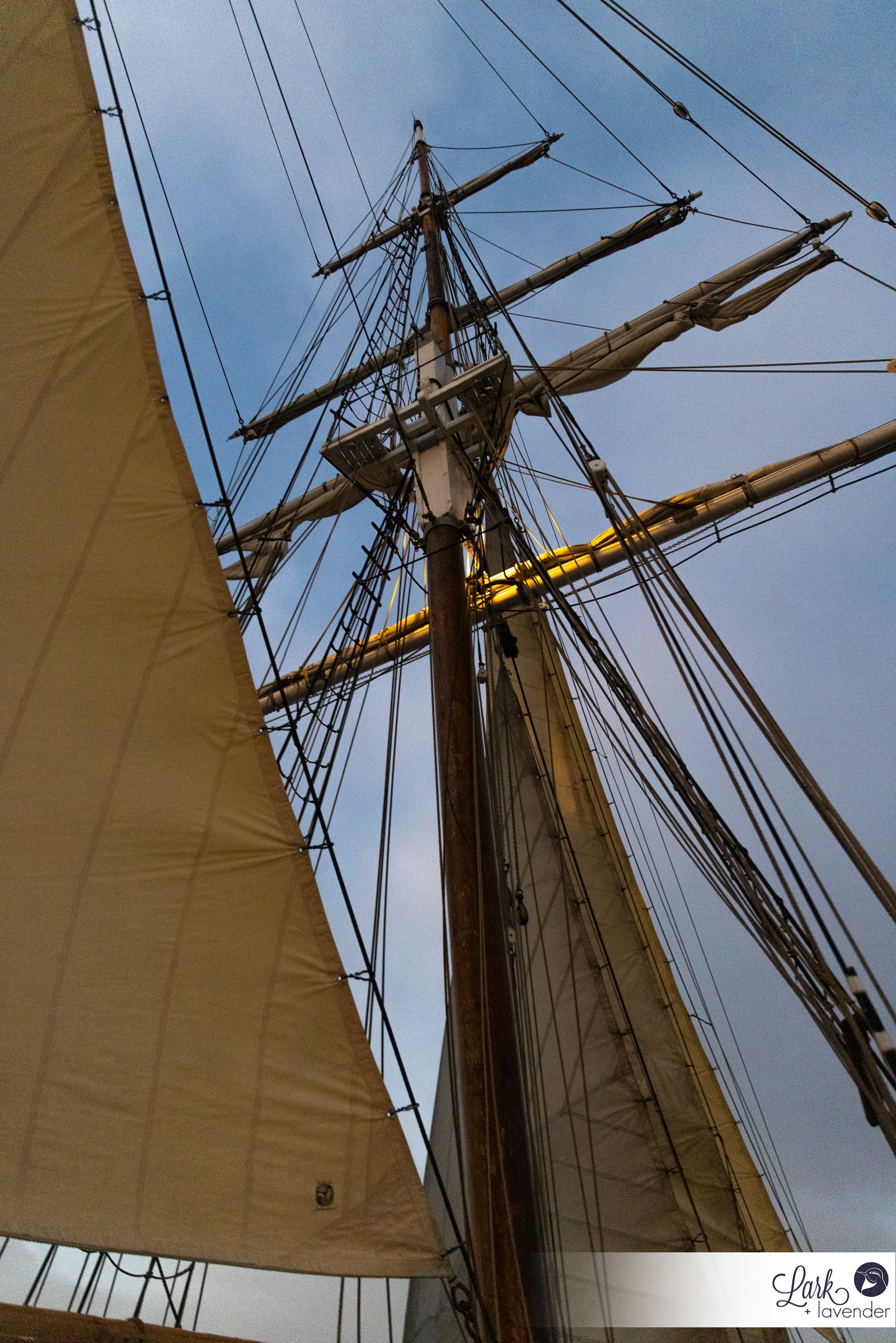 Historic & Sea-Worthy Tall Ship & Parker's Lighthouse Wedding in the Long Beach Harbor, CA
