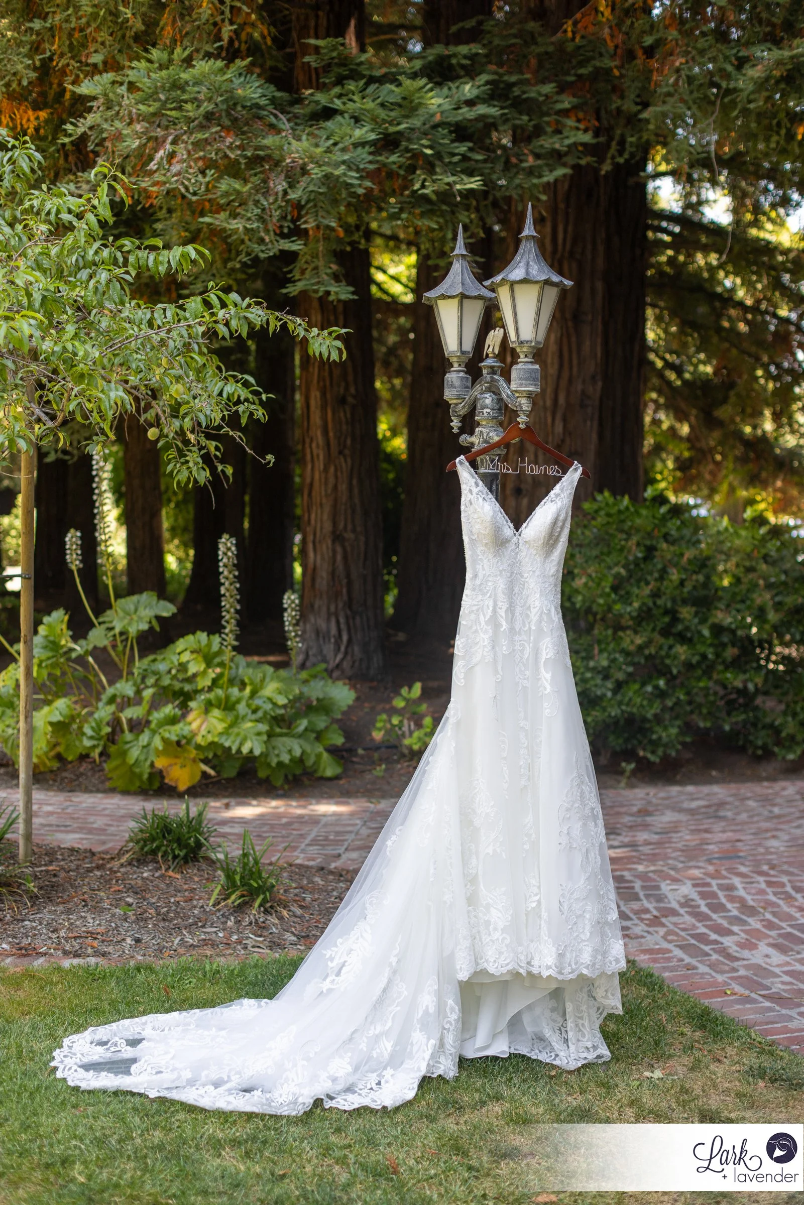Evergreen Harvest Inn Napa Wedding in St. Helena, CA
