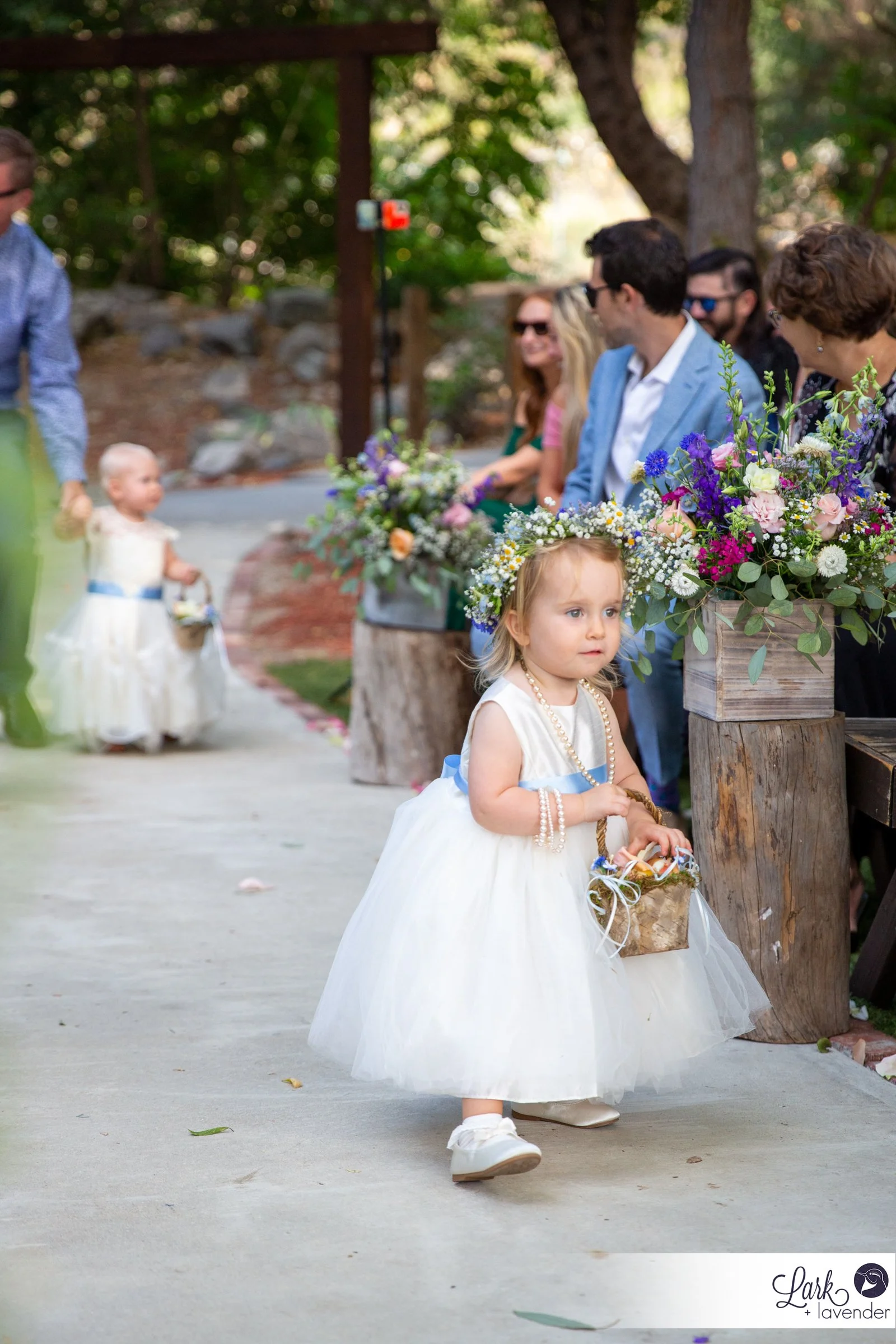 Forest and Meadow Wedding at Hidden Acres in Lytle Creek, CA
