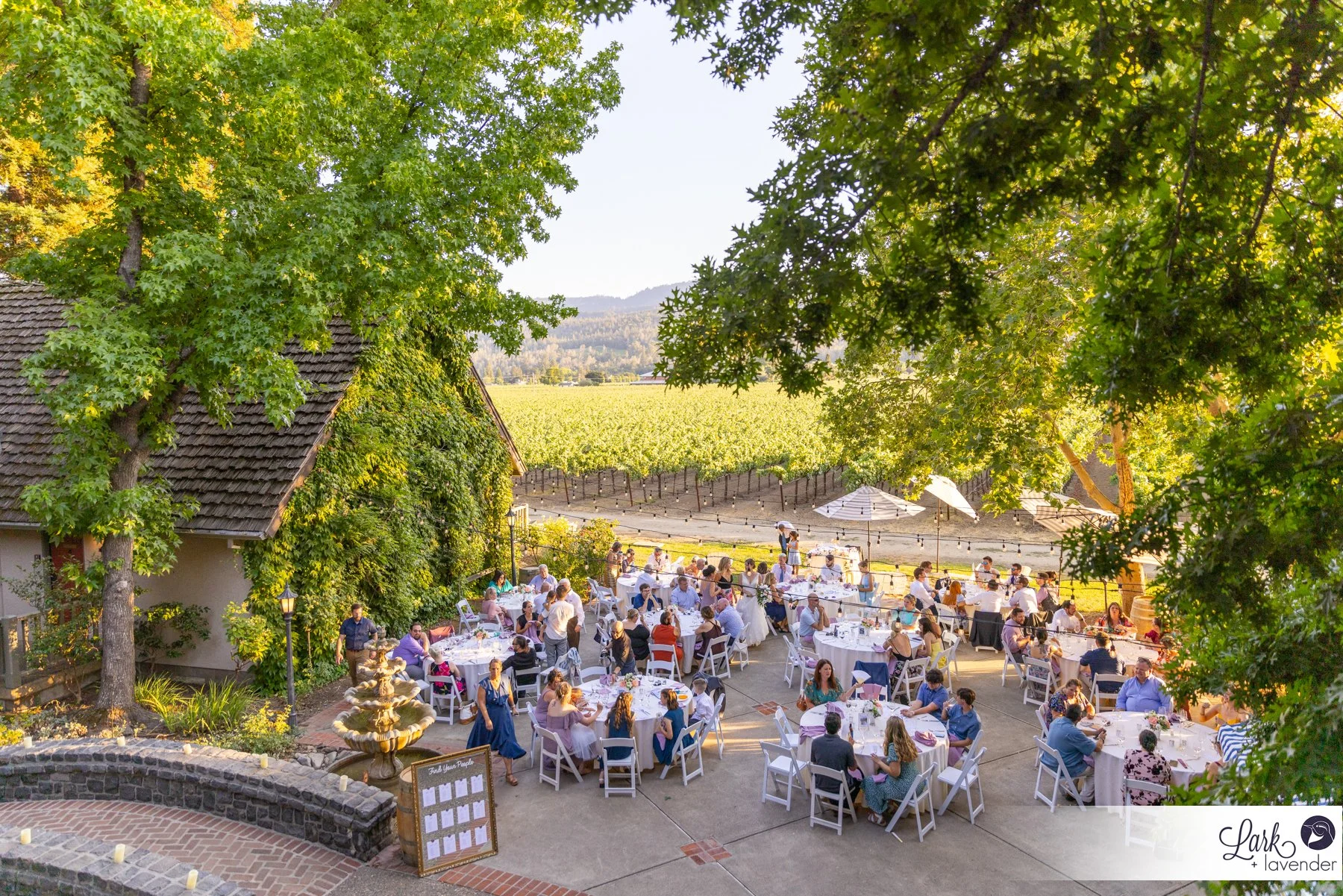 Evergreen Harvest Inn Napa Wedding in St. Helena, CA