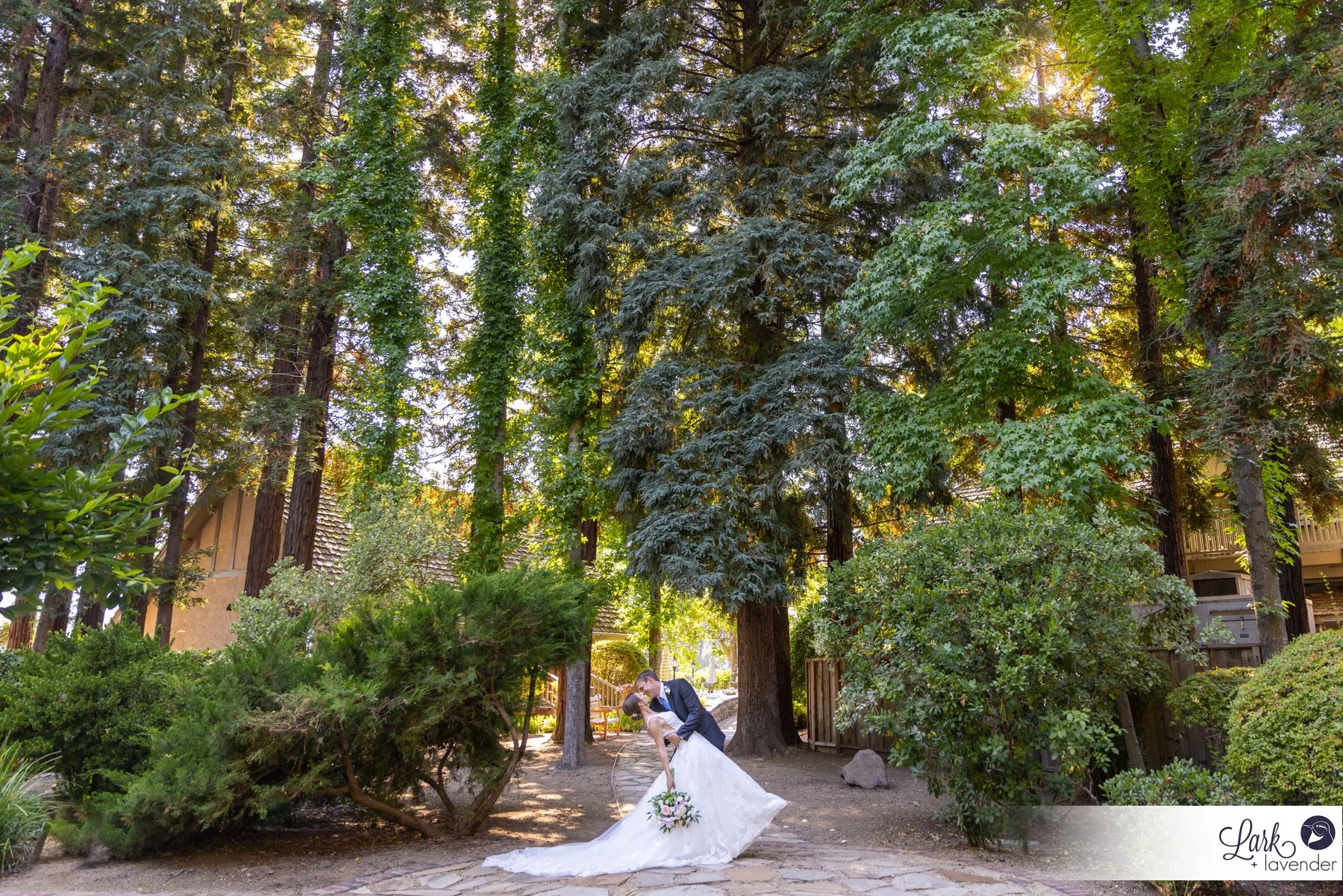 Evergreen Harvest Inn Napa Wedding in St. Helena, CA