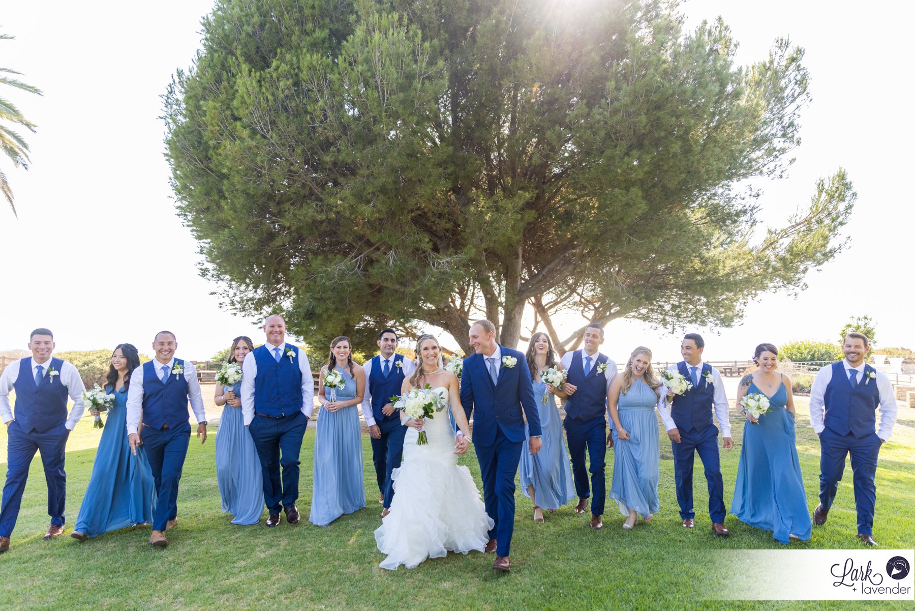 Dreamy Point Vicente Interpretive Center Wedding in Rancho Palos Verdes, CA