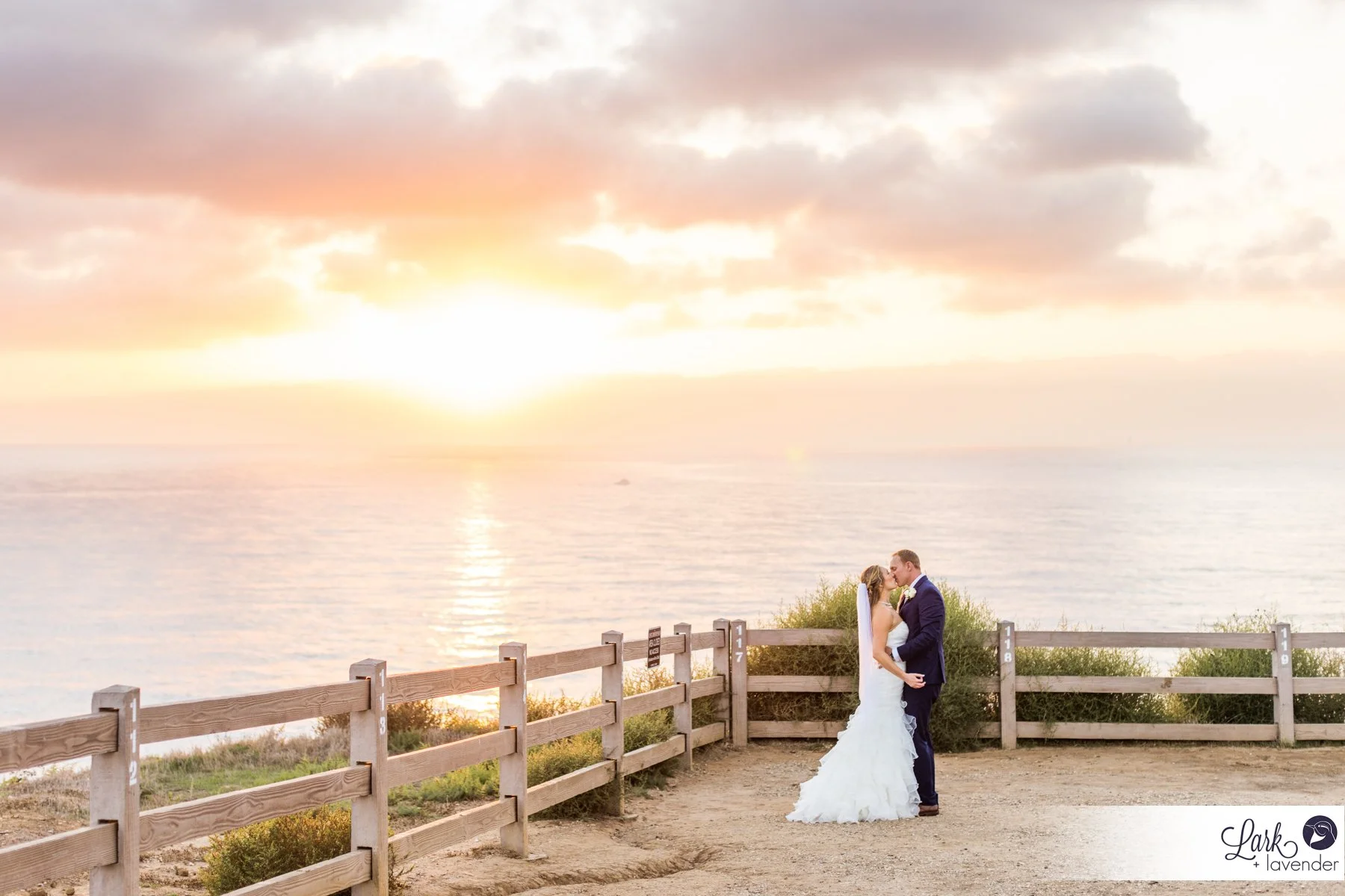 Dreamy Point Vicente Interpretive Center Wedding in Rancho Palos Verdes, CA