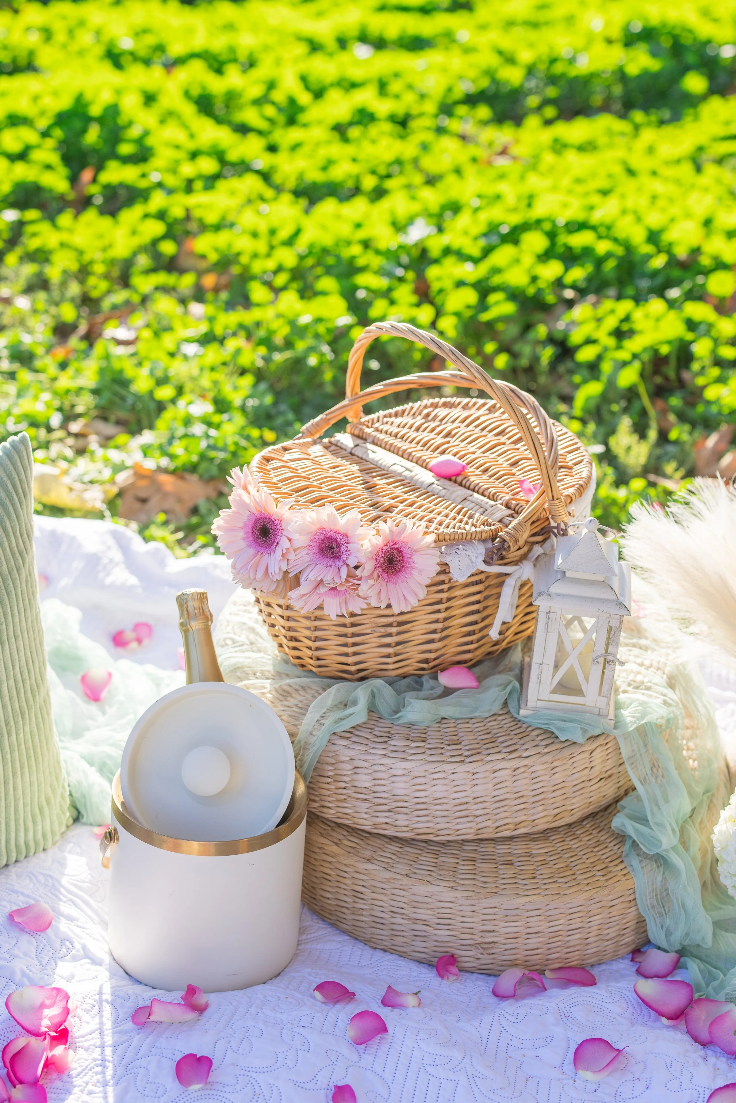 Lakeside Autumn Proposal at Lake Balboa, CA