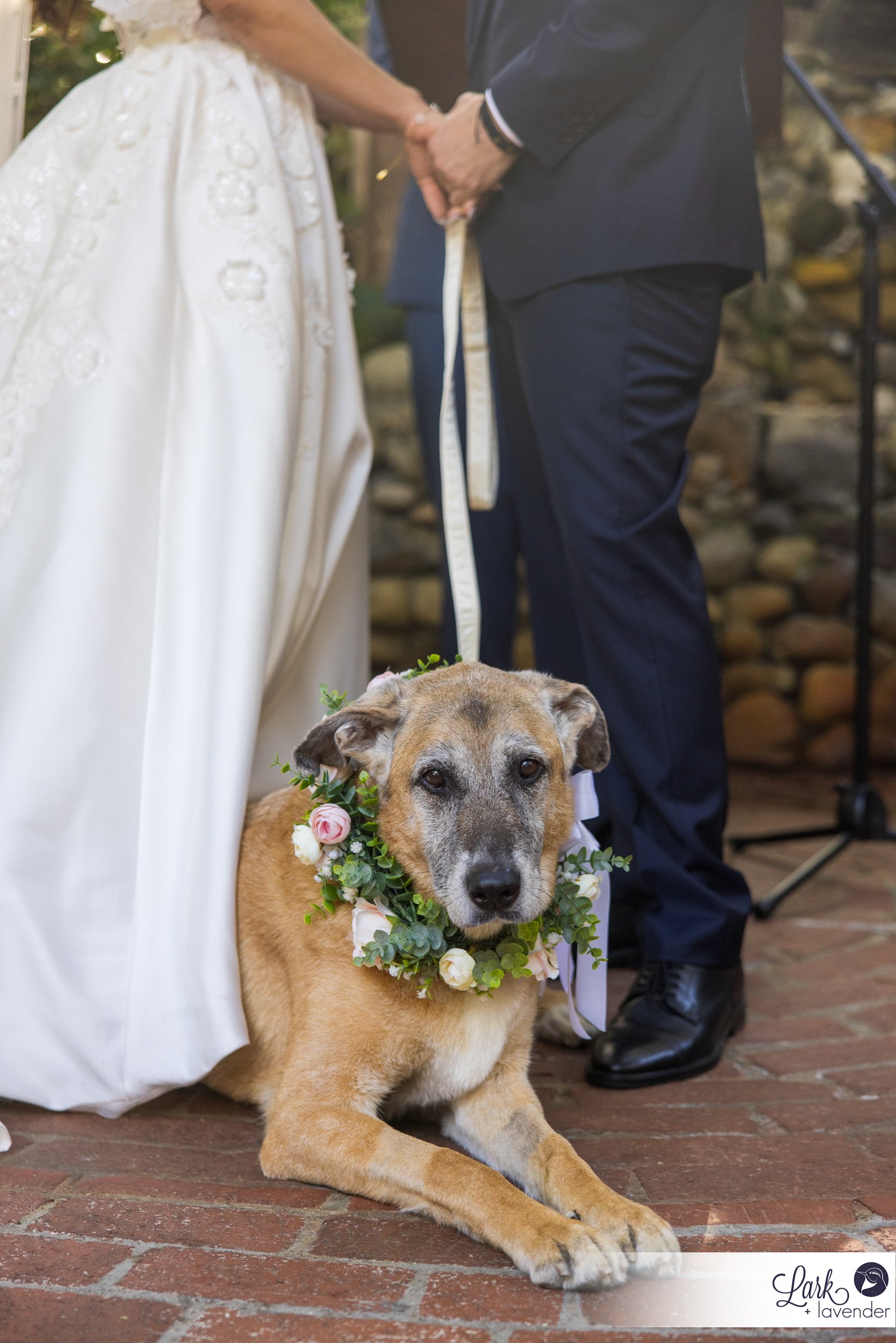 Sweet Inn of the Seventh Ray Wedding in Topanga Canyon, Ca