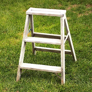 STEP LADDER - CHIPPY - $10 MORE DETAILS & PICS...