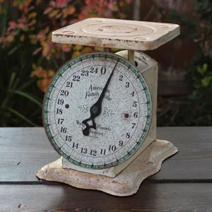 AMERICAN FAMILY SCALE - $8 MORE DETAILS & PICS...