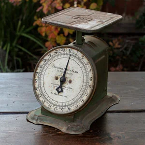 COLUMBIA FAMILY SCALE - $8 MORE DETAILS & PICS...