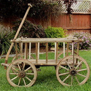 GOAT CART - $100 MORE DETAILS & PICS...