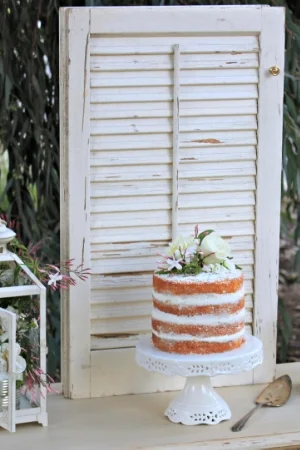 SHUTTERS - $20 MORE DETAILS & PICS...