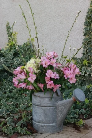 GALVANIZED WATERING CAN - $25 MORE DETAILS & PICS...