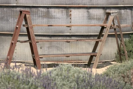 Ladder Shelf - $75 Uses “Weathered Wood” & Rustic Wood” Ladders (also available separately) MORE DETAILS & PICS ...