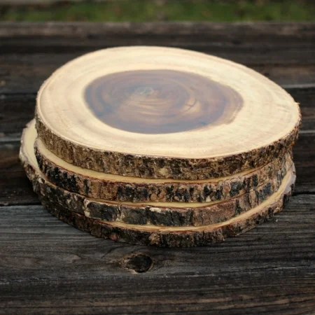 TREE SLICES - 11"-13" DIAMETER - $5 EACH MORE DETAILS & PICS...