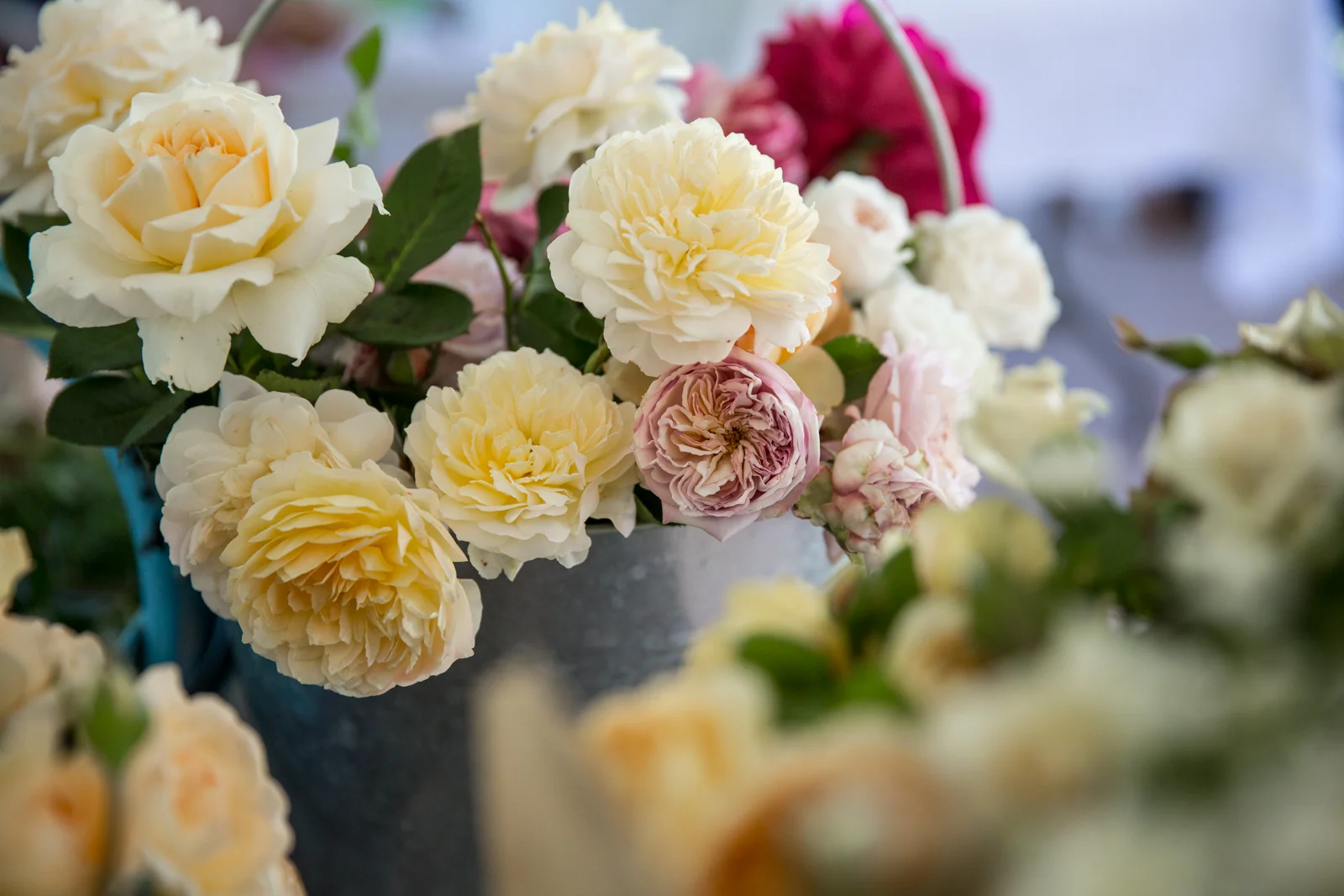 Mudgee Made | Oh Flora-22.jpg