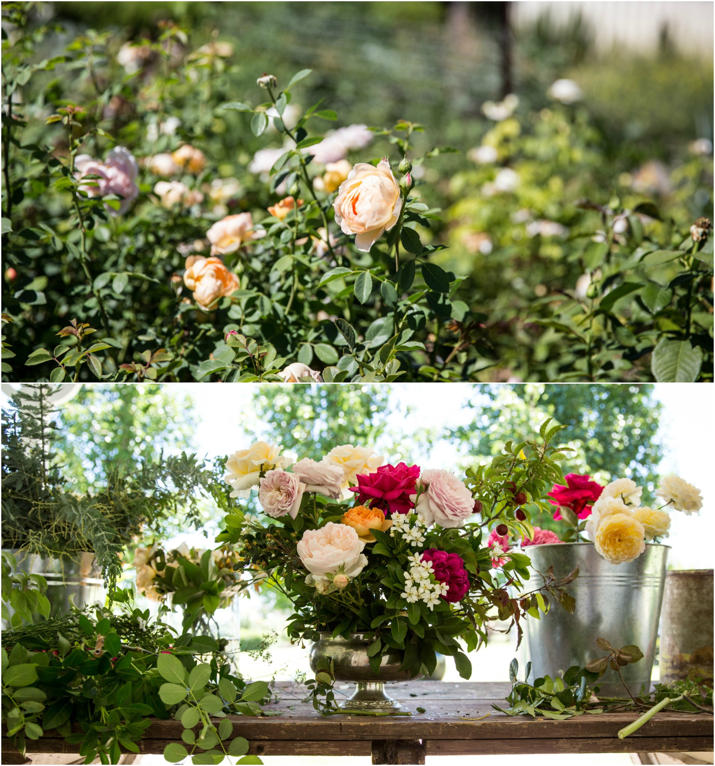 mudgee3PicMonkey Collage.jpg