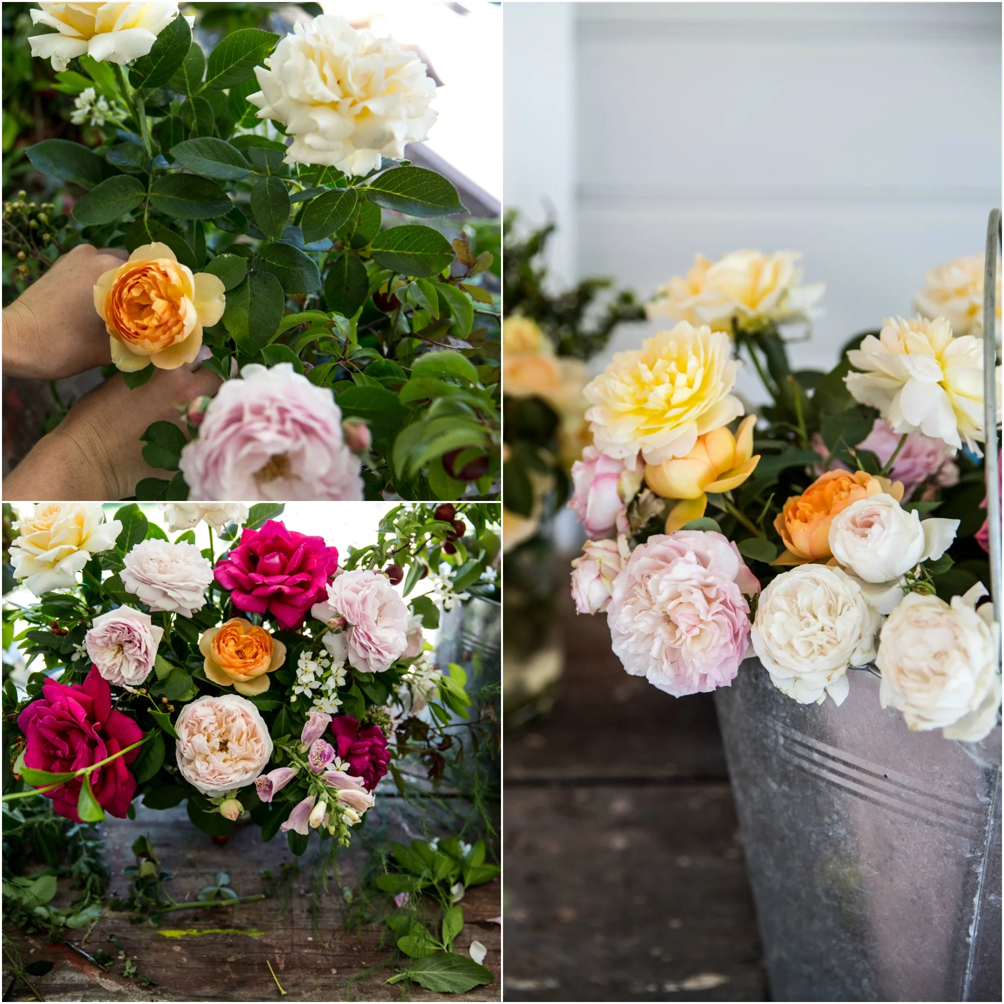 mm8PicMonkey Collage.jpg