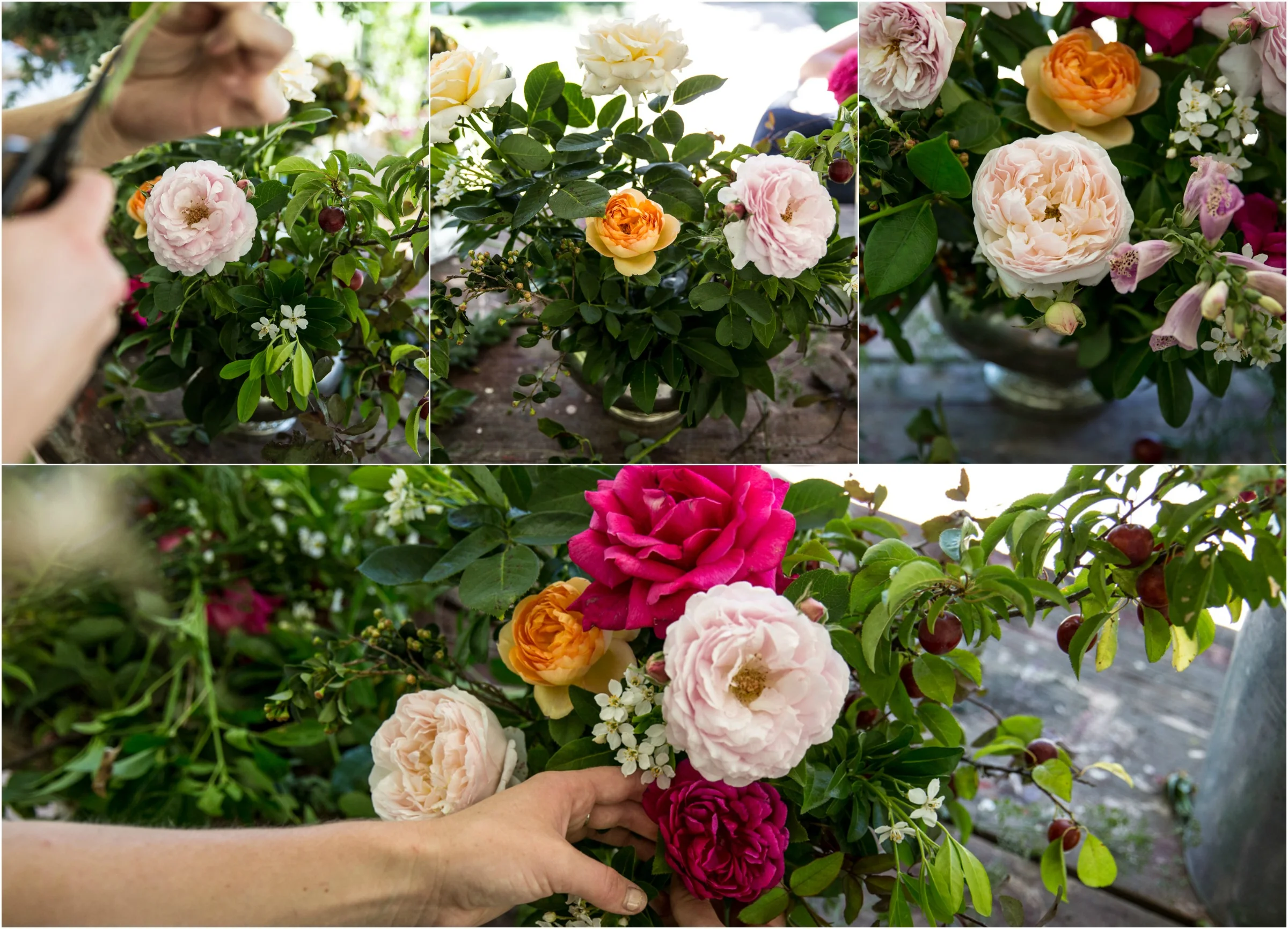 mm9PicMonkey Collage.jpg