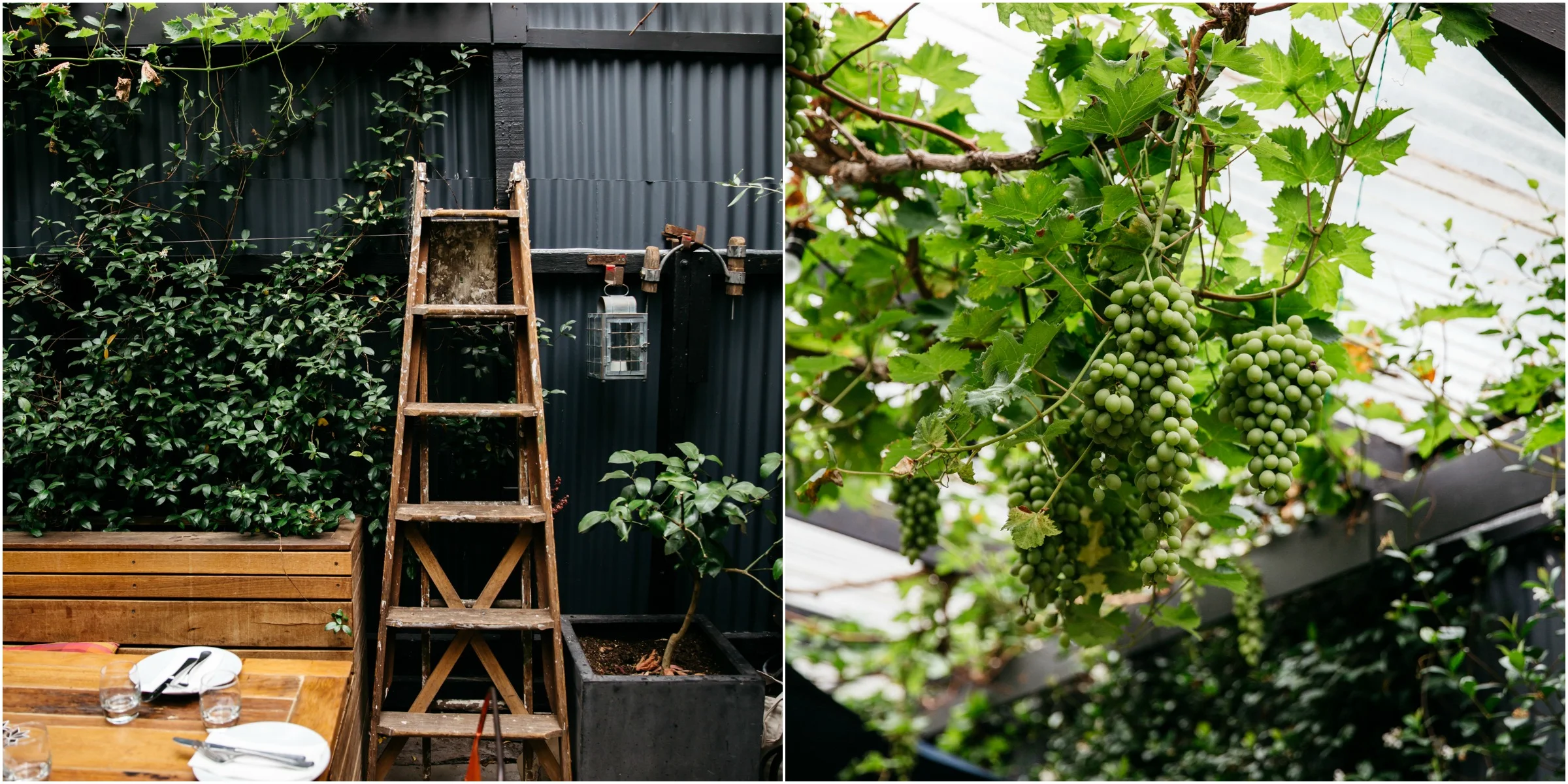 resized1PicMonkey Collage.jpg