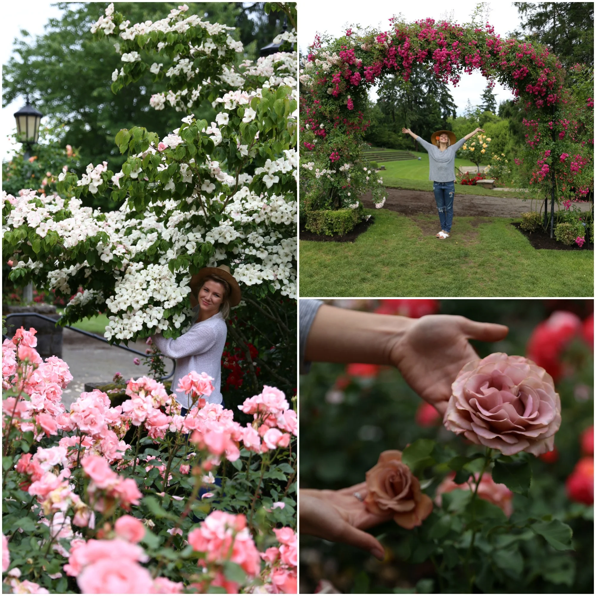 rosegarden12.jpg