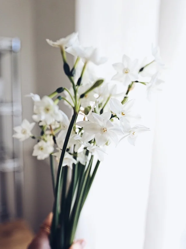 Tutorial Centrepiece Oh Flora Studio